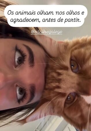 Os animais olham nos olhos e agradecem, antes de partir.