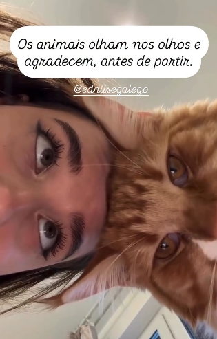 Os animais olham nos olhos e agradecem, antes de partir.