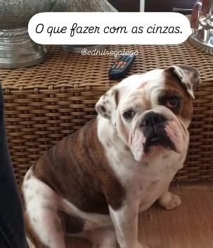 Guardar ou lançar as cinzas em algum lugar?