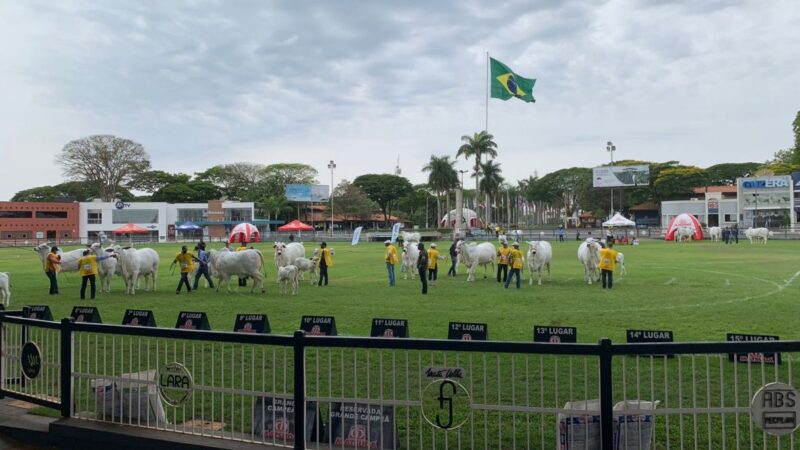 Expoinel 2025 acontece de 13 a 19 de outubro, em Uberaba (MG).