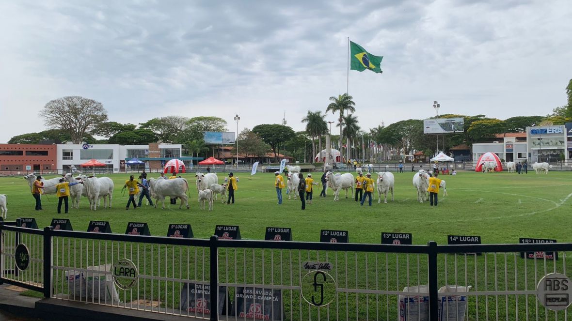 Expoinel 2025 acontece de 13 a 19 de outubro, em Uberaba (MG).