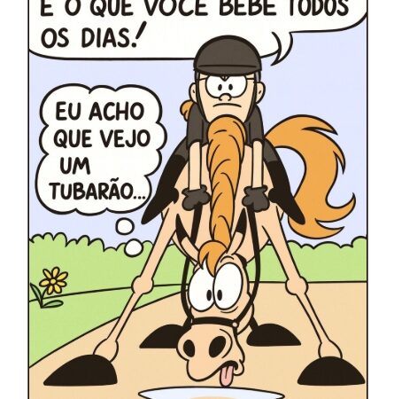 Você já percebeu como muitos cavalos travam diante de uma poça d’água?