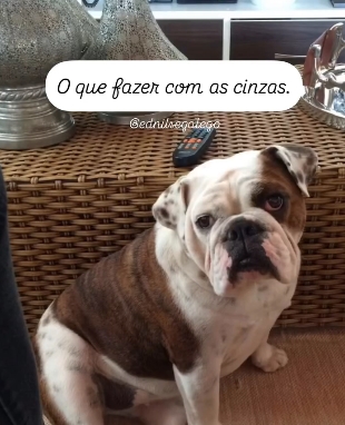 Guardar ou lançar as cinzas em algum lugar?