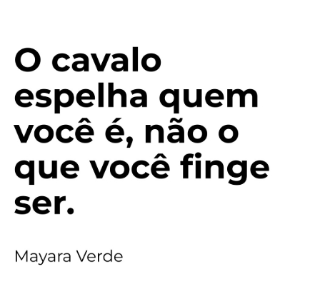 O cavalo não se impressiona com títulos, status ou aparência.