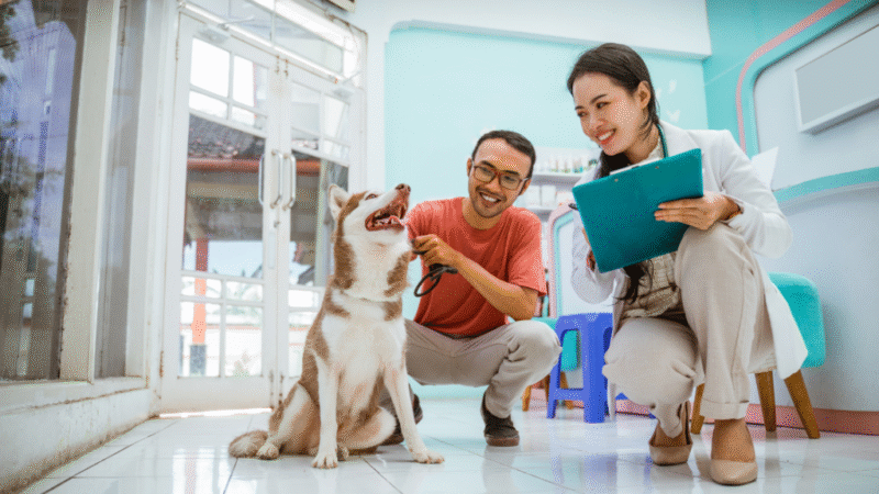 Ajude a moldar o futuro dos padrões de prática veterinária.