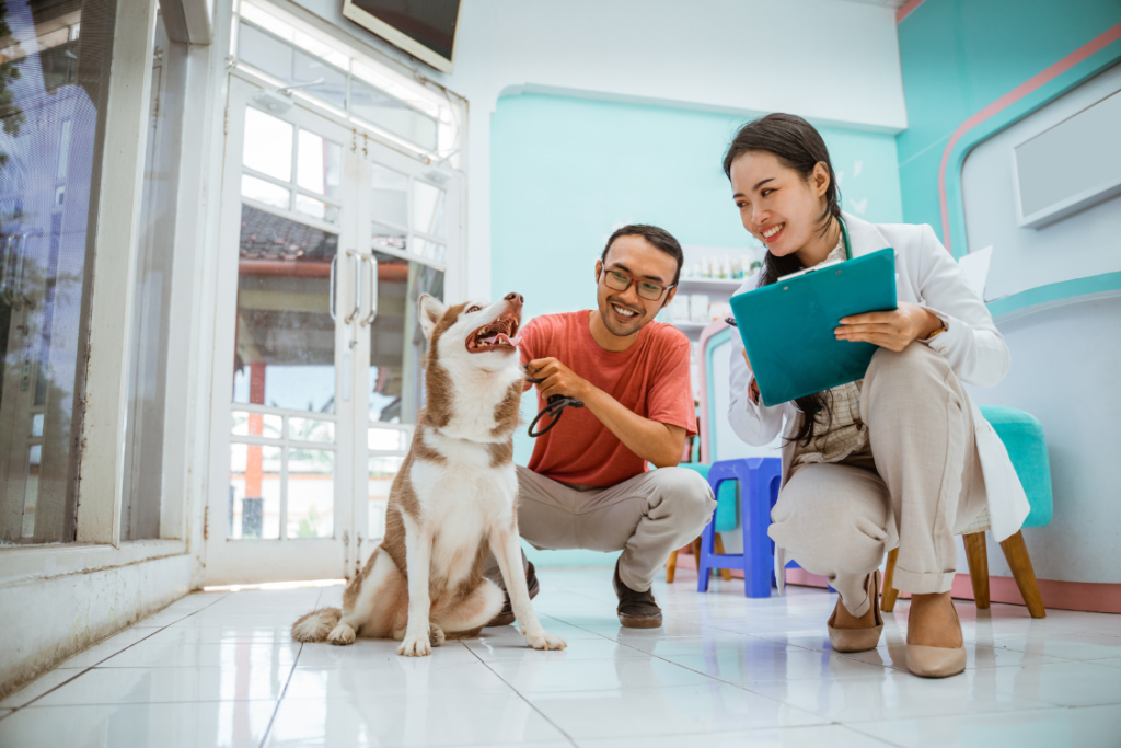 Ajude a moldar o futuro dos padrões de prática veterinária.