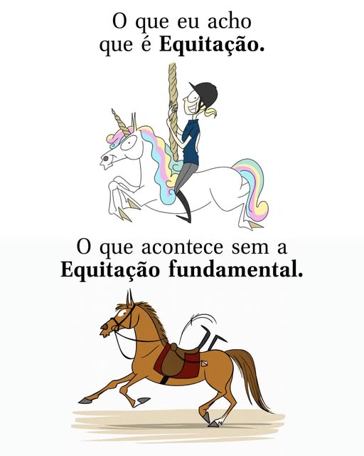 Muitas pessoas ainda acreditam que montar a cavalo é algo simples, quase instintivo.