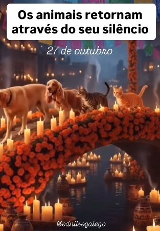 Os animais retornam através do seu silêncio.