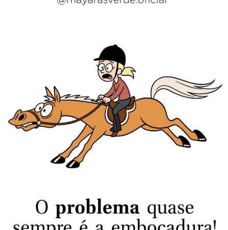 Não é a embocadura que estraga o cavalo. É a mão do cavaleiro.