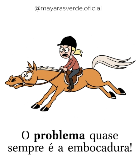 Não é a embocadura que estraga o cavalo. É a mão do cavaleiro.
