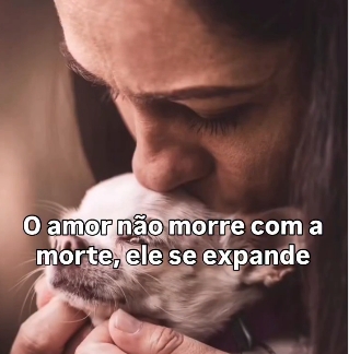 O amor não morre com a morte, ele se expande.