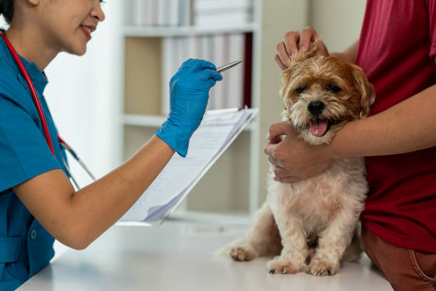 Importância do Entendimento Claro da Prescrição Médica Veterinária.
