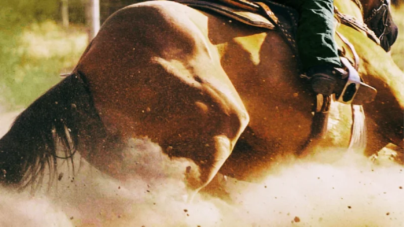 SUPLEMENTAÇÃO ESTRATÉGICA: PREVENÇÃO DA FADIGA MUSCULAR EM CAVALOS ATLETAS.