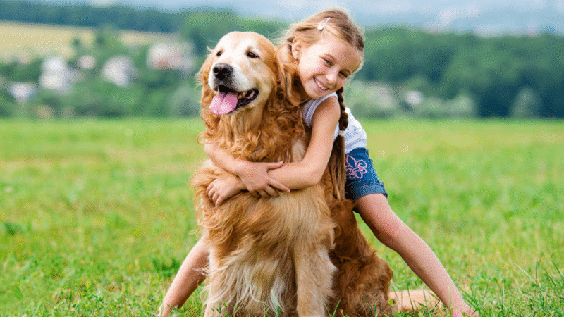Crianças e pets: uma convivência cheia de benefícios e cuidados essenciais Kathia Soares, médica-veterinária da MSD Saúde Animal, explica como a atenção diária à saúde dos animais garante uma convivência harmoniosa, saudável e repleta de aprendizados.