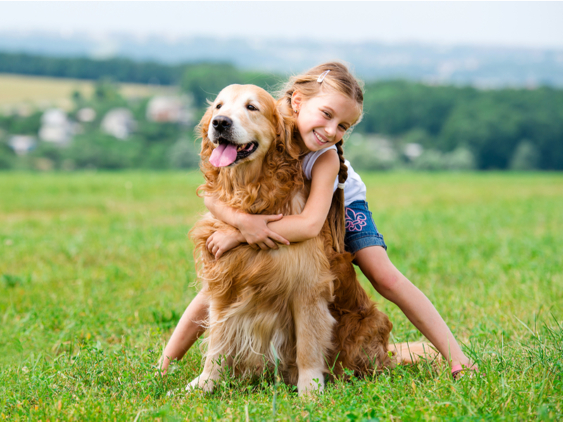 Crianças e pets: uma convivência cheia de benefícios e cuidados essenciais Kathia Soares, médica-veterinária da MSD Saúde Animal, explica como a atenção diária à saúde dos animais garante uma convivência harmoniosa, saudável e repleta de aprendizados.