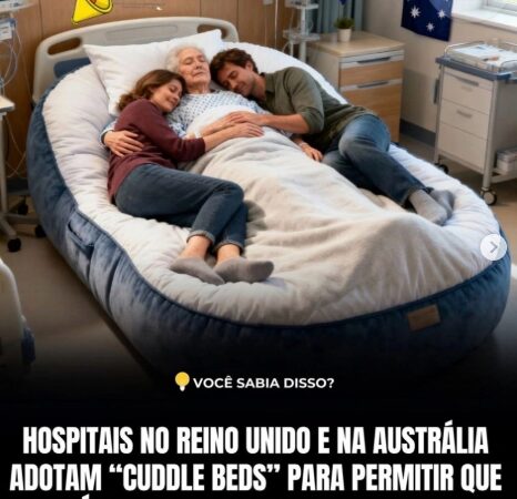 O Abraço que Acalma: Como as “Cuddle Beds” Humanizam o Fim da Vida e Podem Inspirar a Medicina Veterinária.