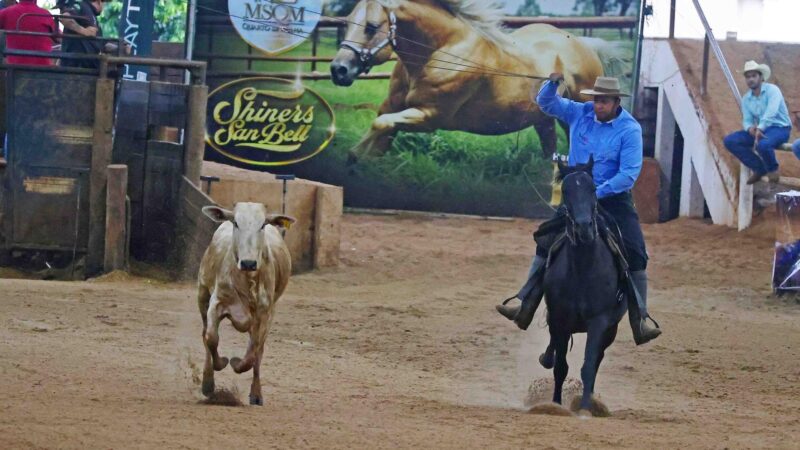 Em Campo Grande, 20º Potro do Futuro, 20º Campeonato Nacional e 8º Derby de Laço Comprido encerram mais uma edição histórica.