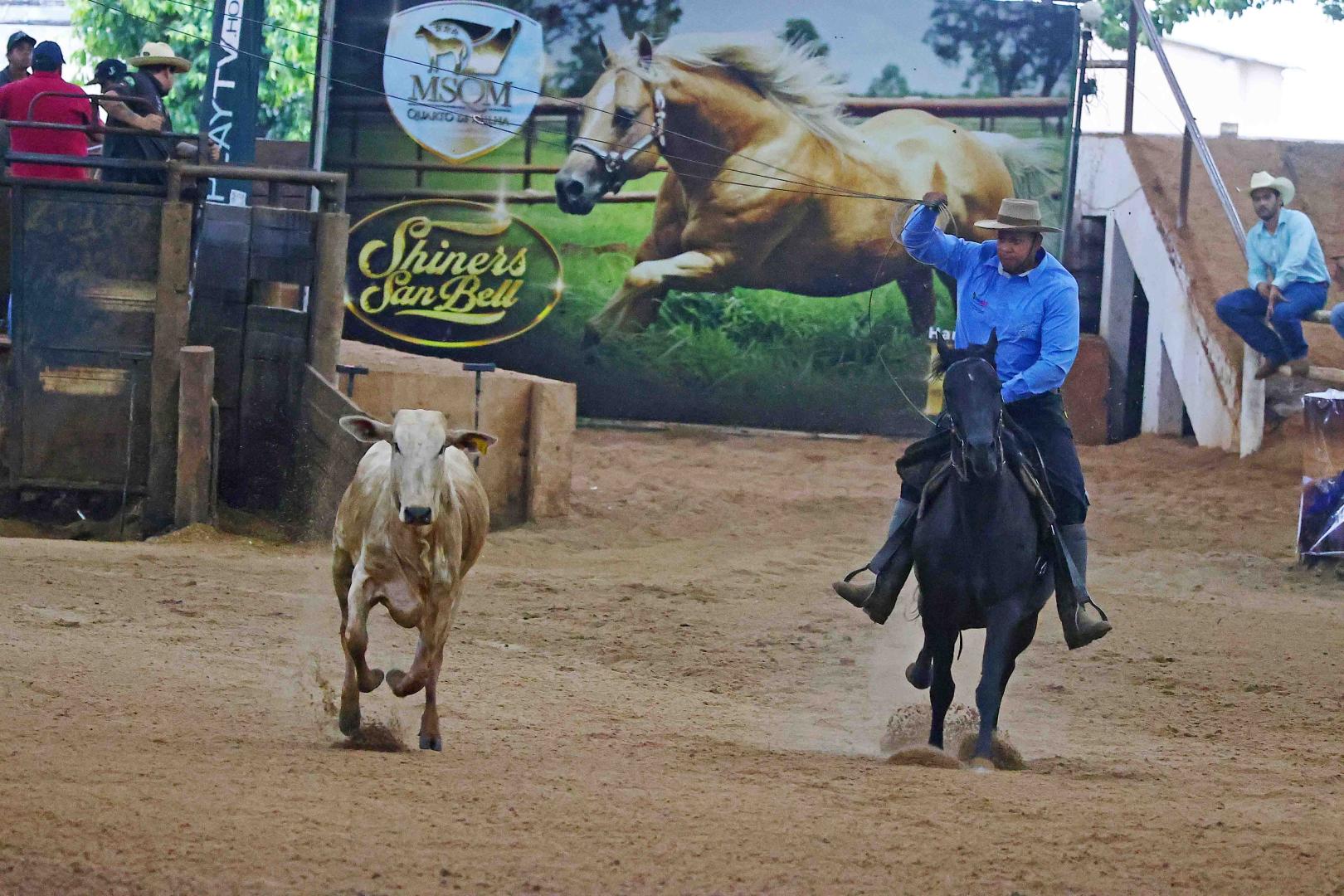 Em Campo Grande, 20º Potro do Futuro, 20º Campeonato Nacional e 8º Derby de Laço Comprido encerram mais uma edição histórica.