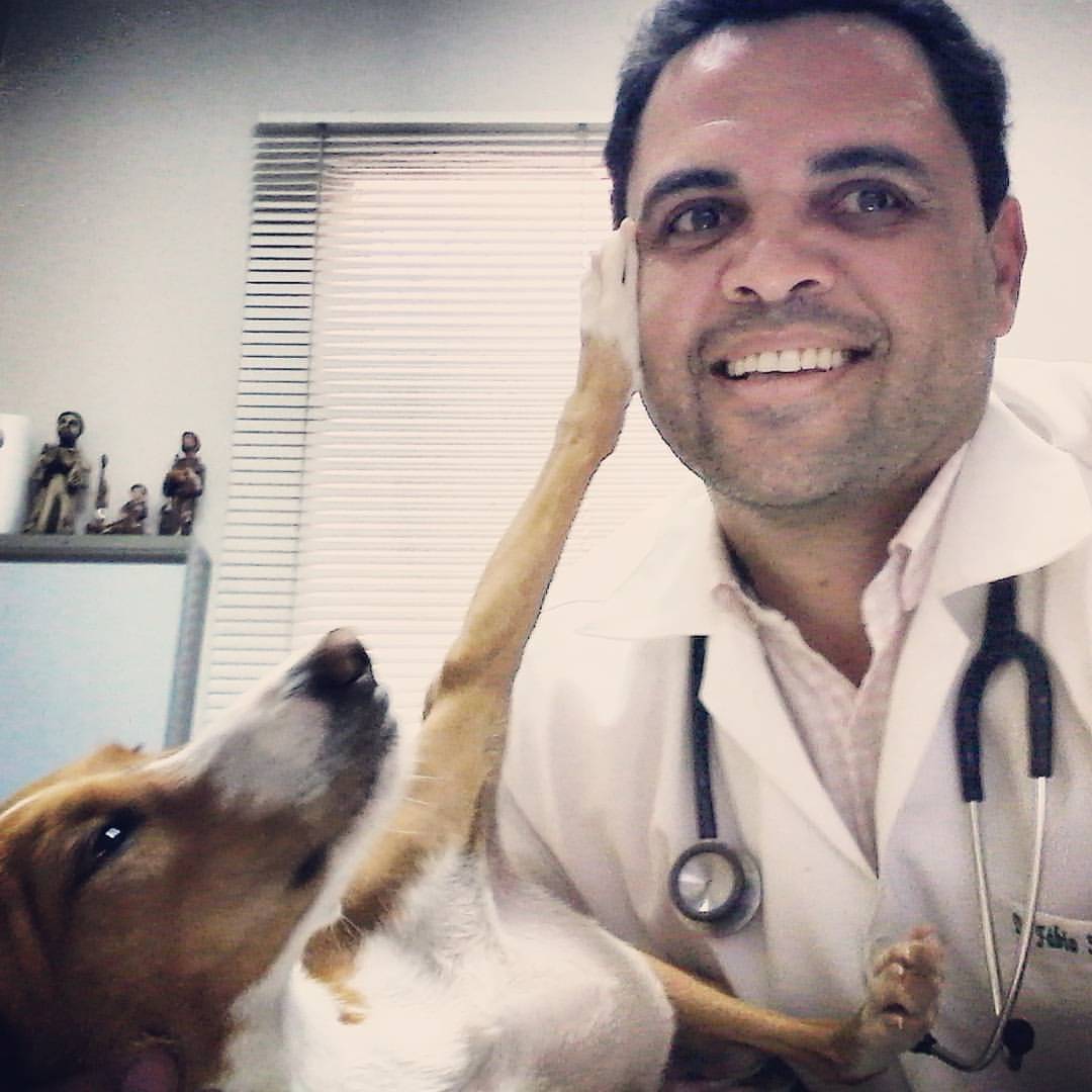 Cuidados com Pets nas Festas de Natal.