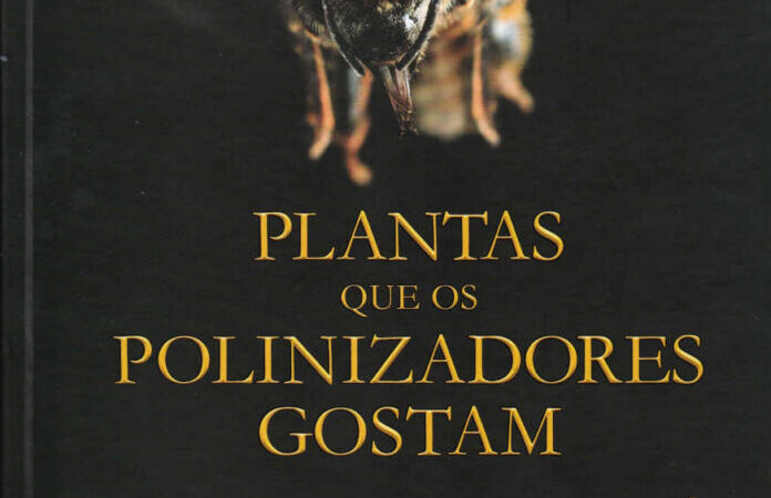 Plantas que os polinizadores gostam.