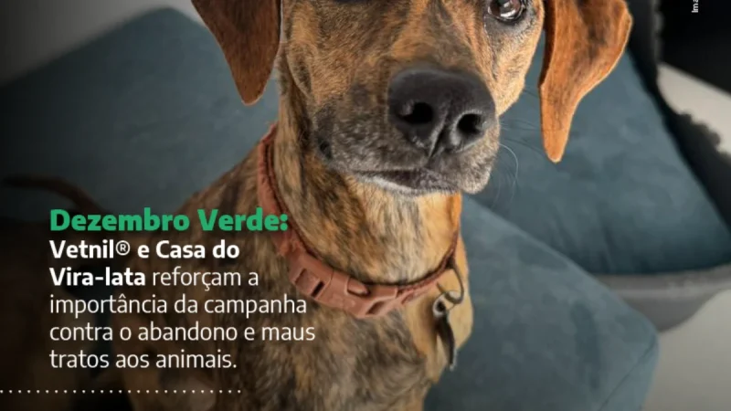 DEZEMBRO VERDE: VETNIL® E CASA DO VIRA-LATA REFORÇAM A LUTA CONTRA O ABANDONO E OS MAUS-TRATOS AOS ANIMAIS.