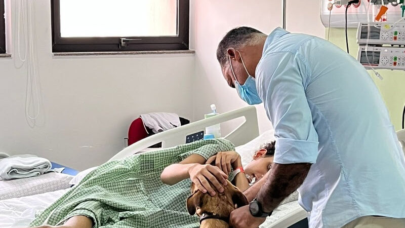 Cães resgatados levam apoio emocional a crianças em tratamento contra o câncer em ação no A.C.Camargo, em São Paulo.