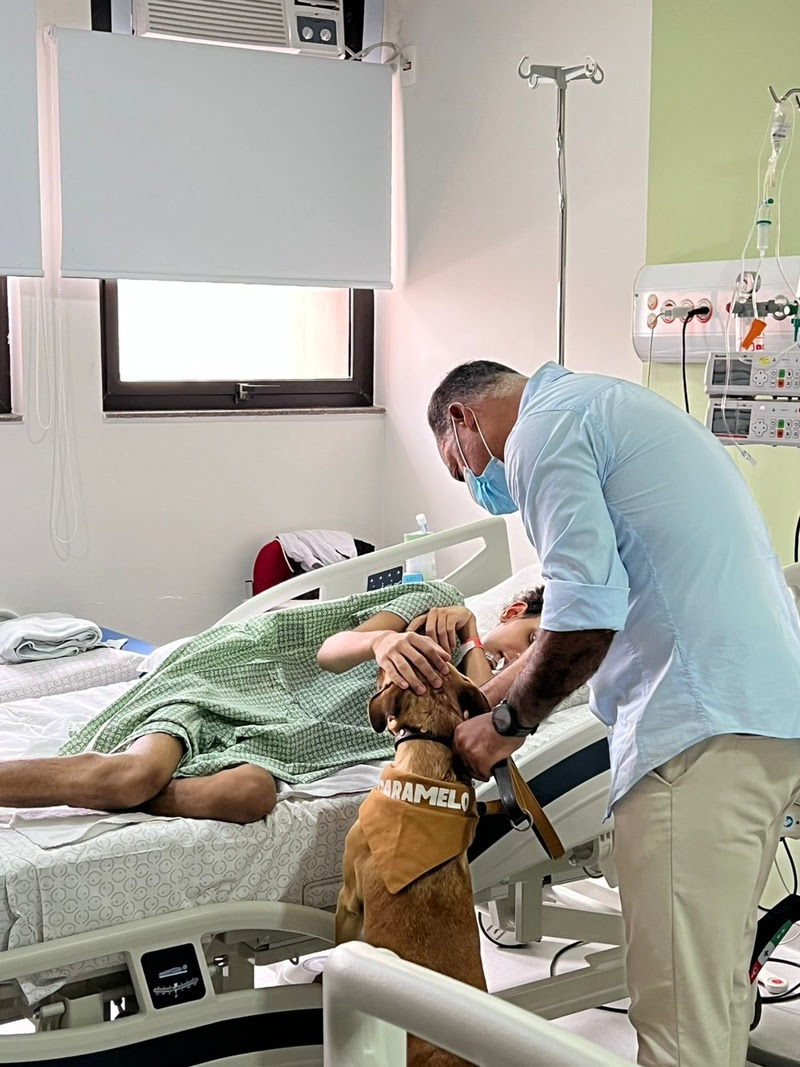 Cães resgatados levam apoio emocional a crianças em tratamento contra o câncer em ação no A.C.Camargo, em São Paulo.