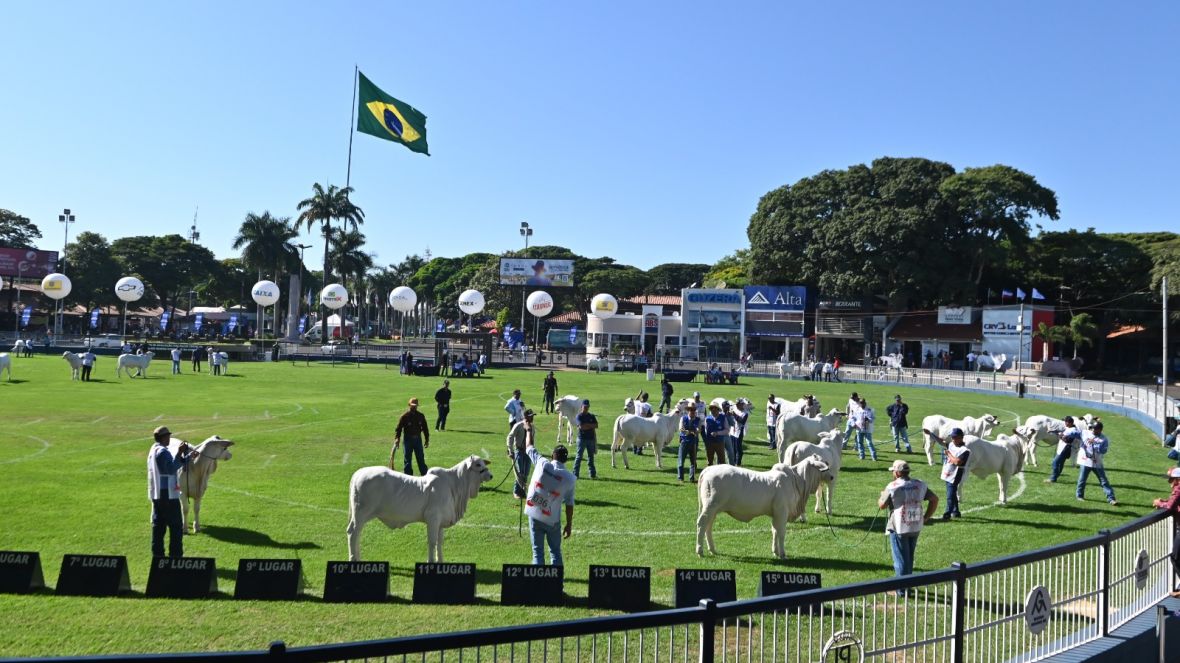 Uberaba volta a inaugurar o calendário pecuário: estão abertas as inscrições para a Expoinel Minas 2026.