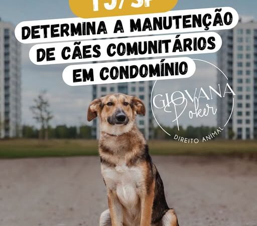 TJ/SP Determina a manutenção de cães comunitários em condomínio.