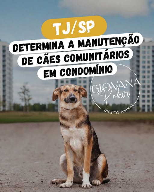 TJ/SP Determina a manutenção de cães comunitários em condomínio.