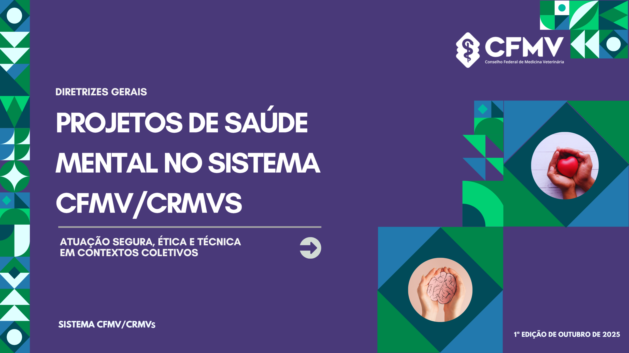 CFMV lança diretrizes gerais para atuação ética e segura em projetos de saúde mental executados pelo Sistema CFMV/CRMVs.