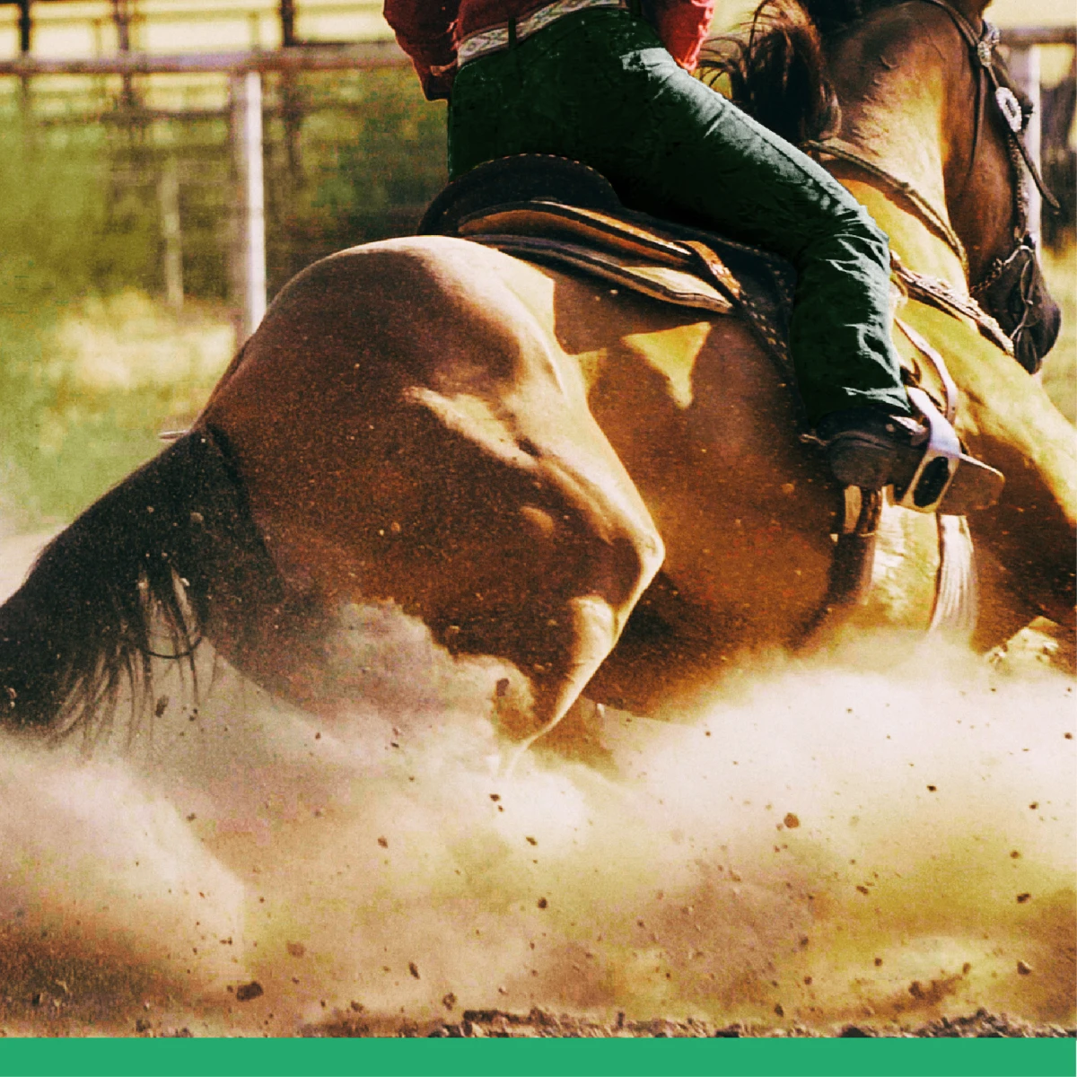 PREVENÇÃO DA FADIGA MUSCULAR EM CAVALOS.