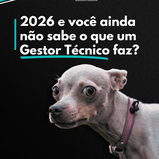 Sem rodeio, vamos ao ponto!
