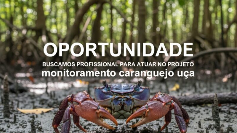 Oportunidade – Buscamos profissional para atuar no projeto Monitoramento do Caranguejo Uça em parceria com a Associação MarBrasil.