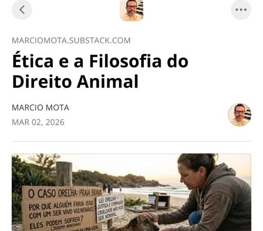 A história do Orelha não é só sobre um cachorro. É sobre quem nós somos como sociedade.