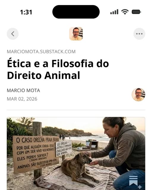 A história do Orelha não é só sobre um cachorro. É sobre quem nós somos como sociedade.