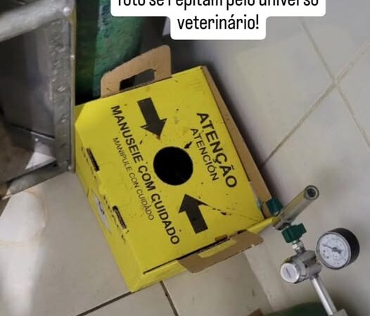 Governança Hospital Veterinária.