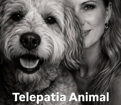 Os animais não usam palavras para transmitirem medo, amor, saudade, tristeza ou paz.