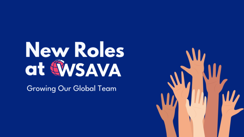 Expandindo nossa equipe global: novas vagas na WSAVA.
