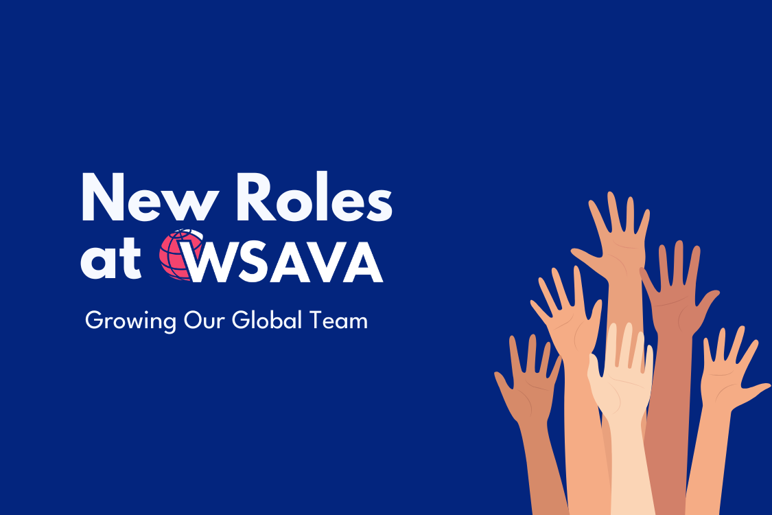 Expandindo nossa equipe global: novas vagas na WSAVA.