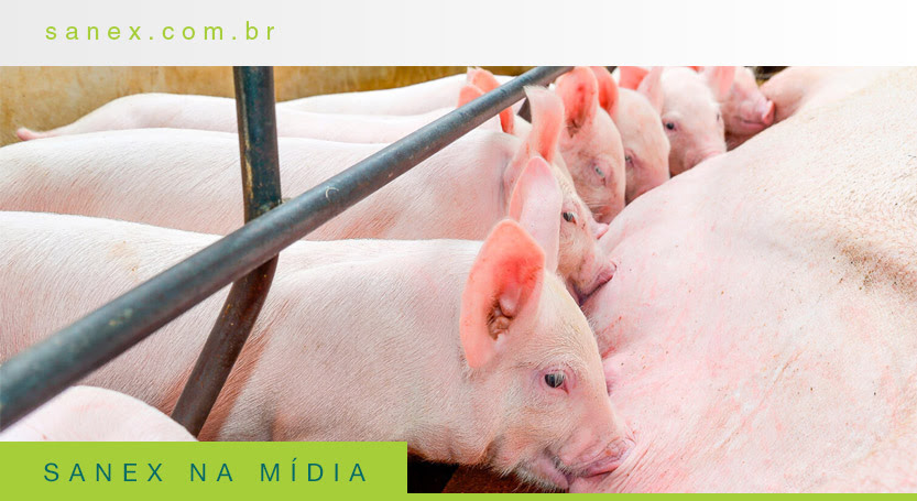 Reposição hidroeletrolítica e redução do estresse na reprodução.