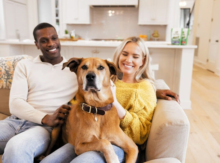 Animais em contextos terapêuticos: ciência explica o impacto da interação humano-animal no cuidado e no desenvolvimento humano.