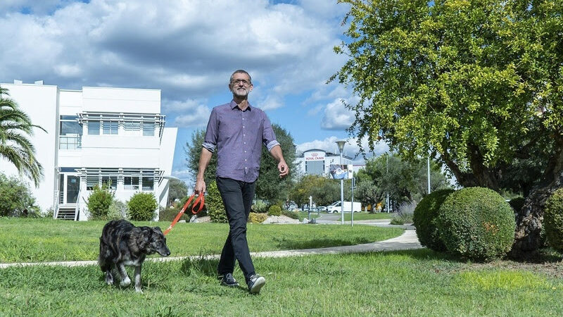 ROYAL CANIN® apresenta nova comunicação em embalagens no Brasil.