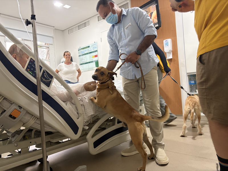 Cães resgatados se tornam terapeutas no GRAACC para apoio à crianças em tratamento oncológico.