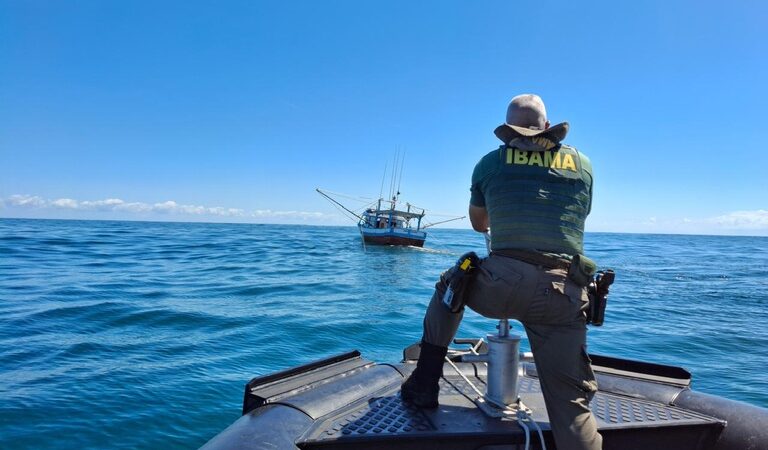 Ibama reforça proibição de arrasto no defeso do camarão e mantém Operação Decapoda.