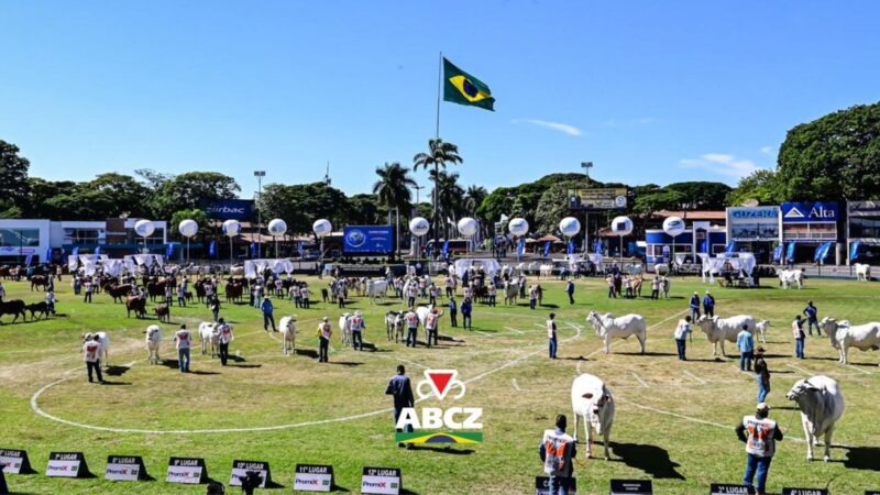 91ª ExpoZebu: Grandes Campeonatos das raças zebuínas acontecem no sábado, a partir das 8h da manhã.