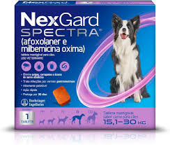 NexGard® Spectra convida tutores a entender a importância do passeio para cães em encontro no Ibirapuera.