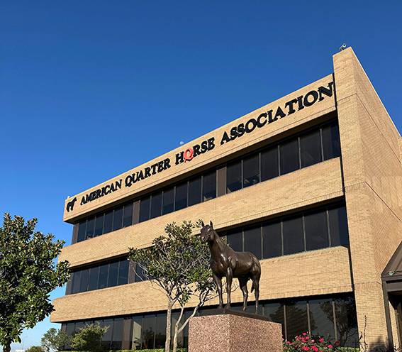 ABQM oficializa premiação dos “Destaques do ano AQHA – ABQM” no Brasil e amplia integração internacional da raça.