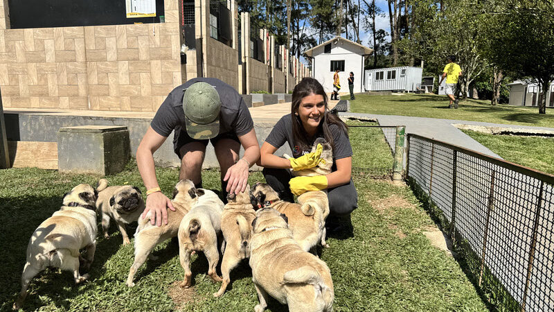 Instituto Caramelo recebe ação global de voluntariado da NBCUniversal, responsável pela Universal Studios, beneficiando mais de 180 cães, gatos e cavalos resgatados.