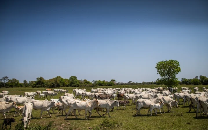 CNA acompanha cronograma das próximas etapas do Censo Agropecuário 2027.